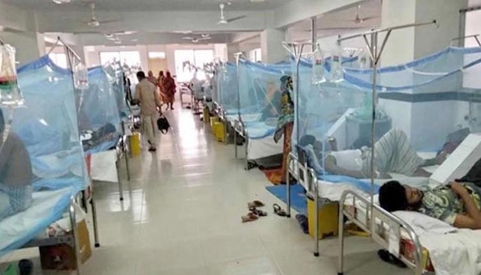 ডেঙ্গুতে আরও ৩ জনের মৃত্যু, হাসপাতালে ভর্তি ৩১৯