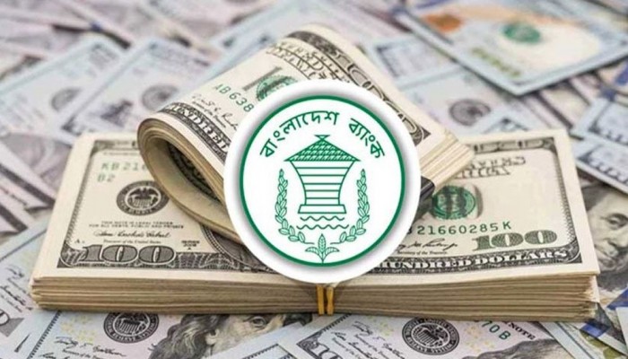 ২৩ দিনে রেমিট্যান্স এলো ১৭৪ কোটি ৮৬ লাখ ডলার