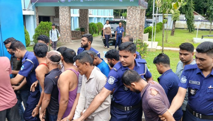 কুমিল্লায় আন্তঃজেলা ডাকাত দলের ১৪ জন গ্রেপ্তার