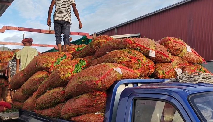 হিলিতে কাঁচা মরিচের কেজি ২৮০