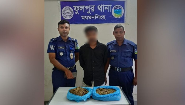 ফুলপুরে ২ কেজি গাঁজাসহ মাদক ব্যবসায়ী গ্রেপ্তার