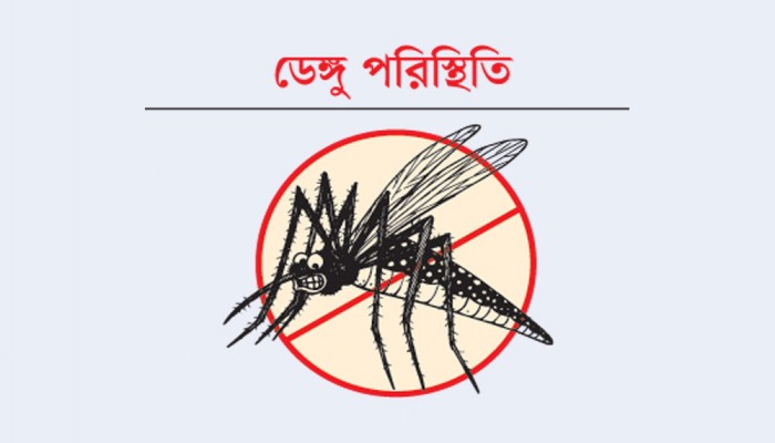 ডেঙ্গুতে ৩ জনের মৃত্যু, হাসপাতালে ভর্তি ৯১২ রোগী