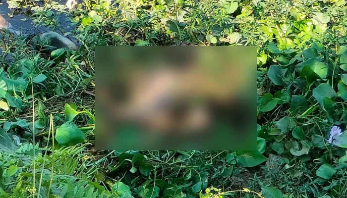নিখোঁজের ৪ দিন পর কিশোরের অর্ধগলিত মরদেহ মিলল দিয়াবাড়ির লেকে