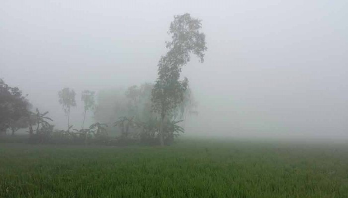তেঁতুলিয়ায় তাপমাত্রা নামল ১২ ডিগ্রিতে