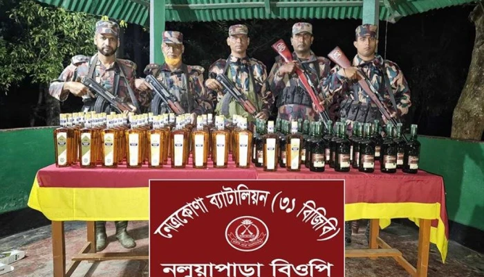 দুর্গাপুরে বিজিবির অভিযানে ৭১ বোতল ভারতীয় মদ জব্দ