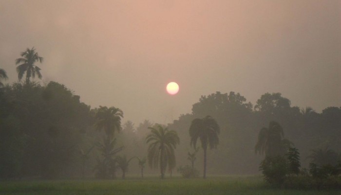 শৈত্যপ্রবাহ নিয়ে সুখবর দিল আবহাওয়া অফিস