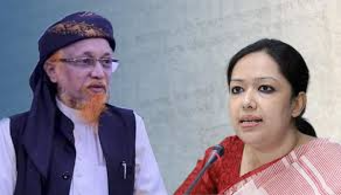 রুমিন ফারহানার অভিযোগের বিষয়ে যা বললেন বিএনপি সমর্থিত জুনায়েদ আল হাবিব