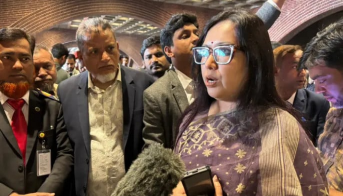 'এবার ৩০ শতাংশ মানুষের প্রতিনিধিত্ব এই সংসদে নেই': আওয়ামী লীগের না থাকা নিয়ে রুমিন ফারহানা